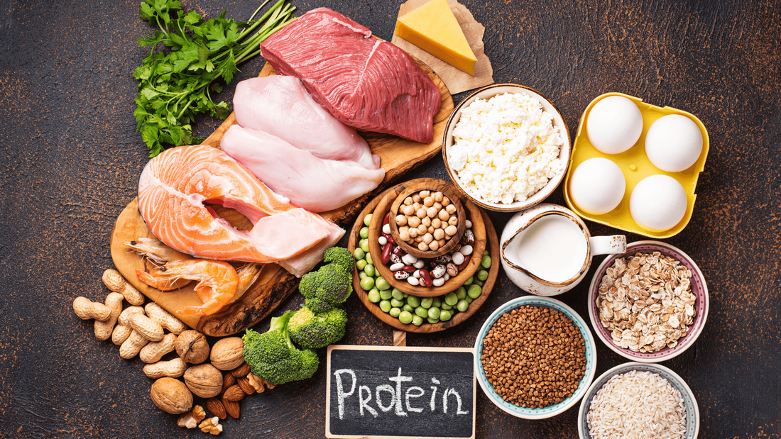 High protein foods-what foods are high in protein