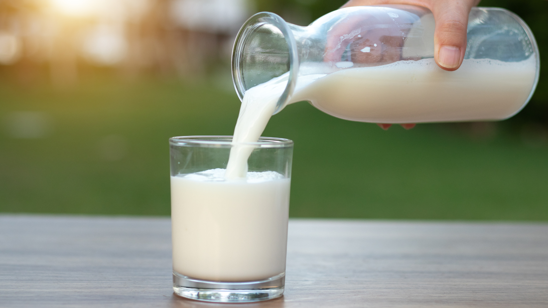 Skim milk is a high protein food and great for tracking your macros.