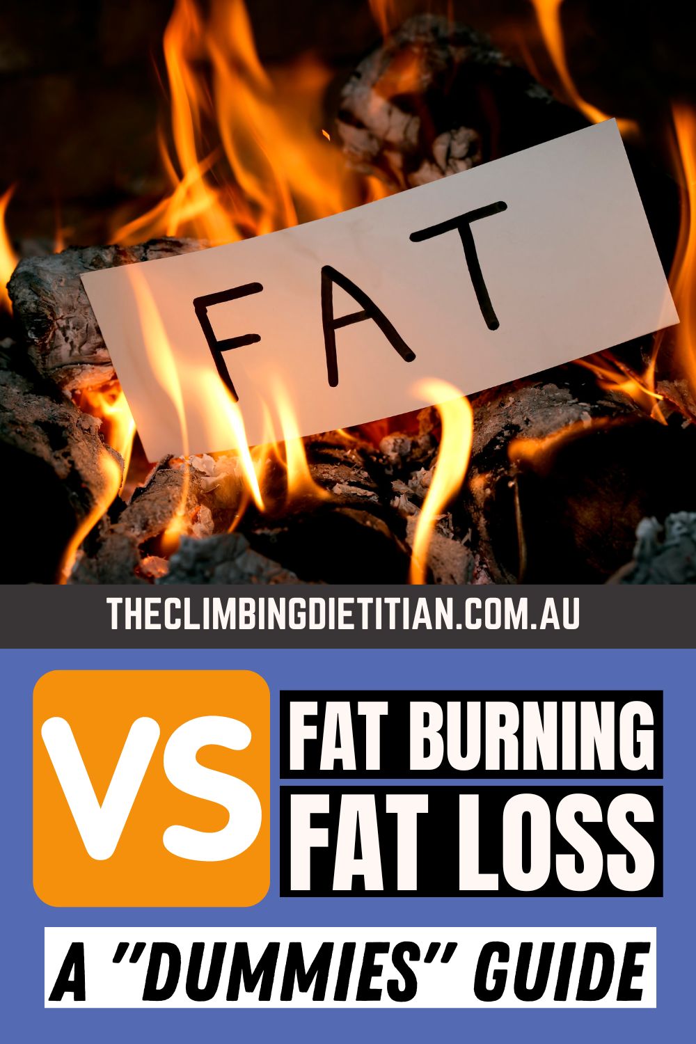 What Is The Difference Between Fat Burn vs Fat Loss A Dummies Guide